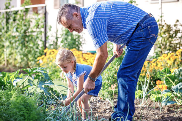 istock Family Enjoying Garden 964263254