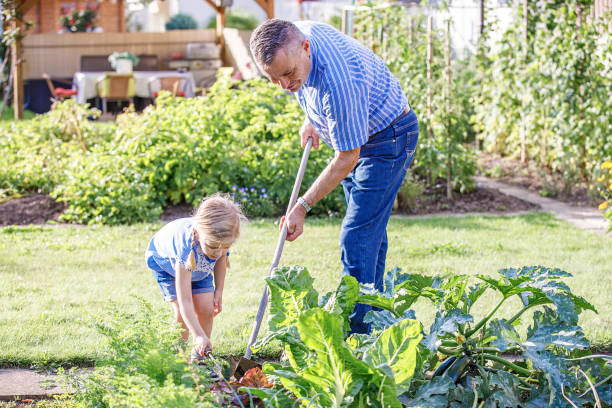 istock Family Enjoying Garden 964266162