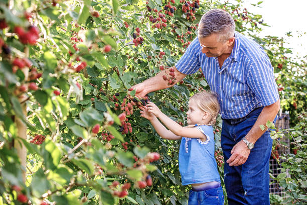 istock Family Enjoying Garden 964267572