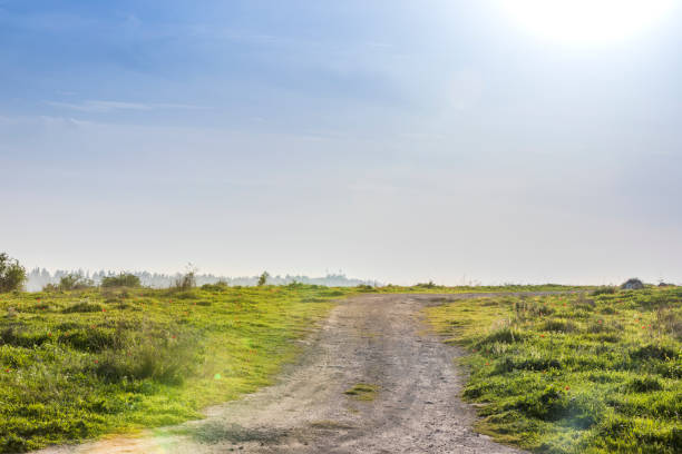 Ascending wide dirt road in a middle of a green lush blooming spring meadow slope with blue sky and dazzling sun