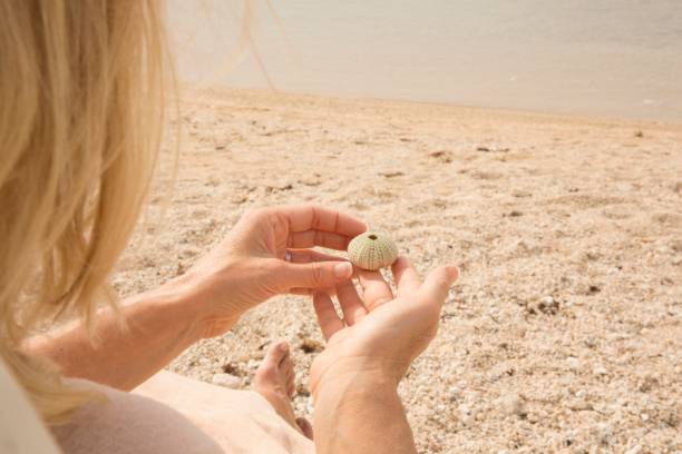 femme se détend en chaise, se penche sur la coquille de l’anémone de mer (actiniaria) - sensory perception shell using senses women photos et images de collection