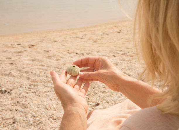 mujer se relaja en la silla, mira la concha de la anémona de mar (actiniaria) - sensory perception shell using senses women fotografías e imágenes de stock