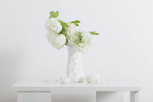 istock branches of decorative viburnum in a vase on white background 964272790