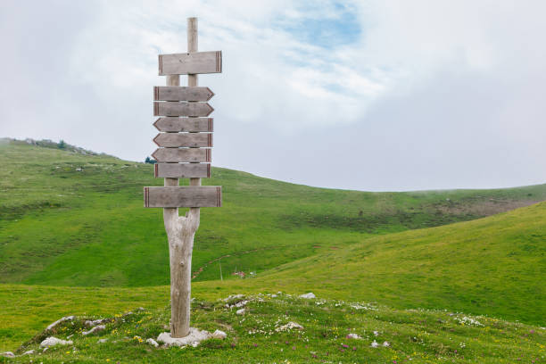 istock Wooden Blank Signpost in the Mountains 964277774