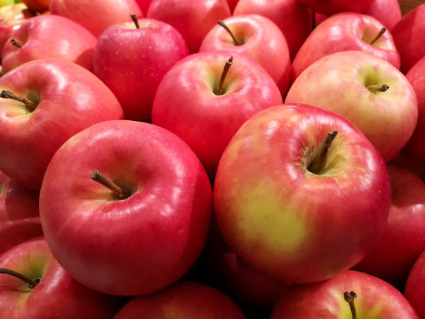 육즙, 밝은 빨간색과 녹색 무쓰 사과, 현지 시장에 판매를 위한 준비. - 아오모리 현 뉴스 사진 이미지