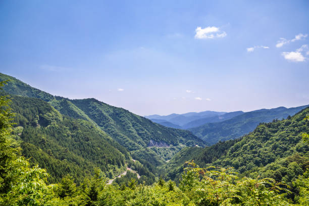istock A mountain of Okutama, fresh green 964296488