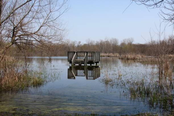 istock Wooden Overlook in Flood Water 964297568