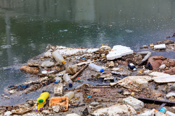 istock Water Pollution - Polluting the Seas 964313474