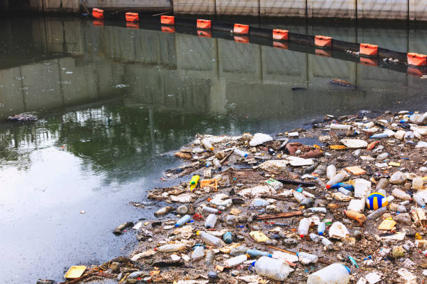 istock Water Pollution - Polluting the Seas 964313550