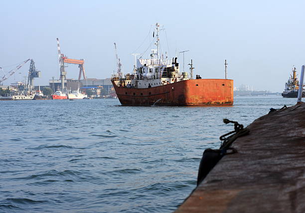 istock kochi harbour, kerala, india 96432172