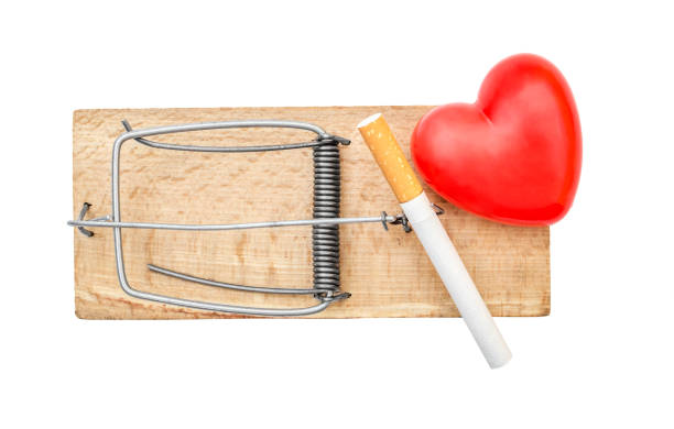 istock Trap with cigarettes and red heart on white. Top view. 964321752