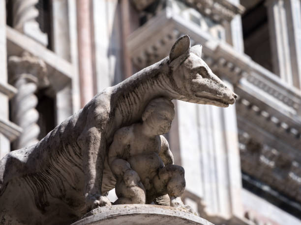Close-up of statue of the Capitoline Wolf that fed twins Romulus and Remus, founders of Rome, in front of the west facade of the Cathedral of Siena. Legend has it that the sons of Remus founded Siena