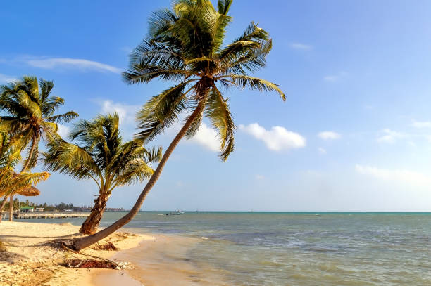 istock Beautiful beach view in Ambergris Caye, Belize. 964334532