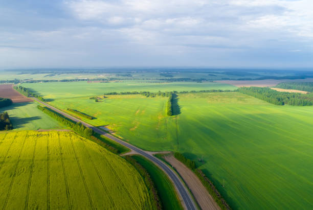 istock Aerial summer landscape. Colorful fields in sunlight from above. 964339384