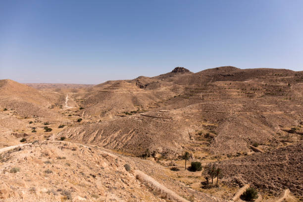 istock dawn in the Sahara desert 964339678