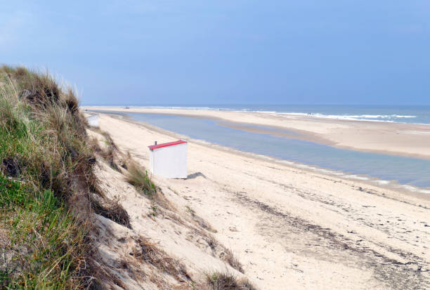 istock Beach with beach hut near Vrouwenpolder, Zeeland ,Netherlands 964352022