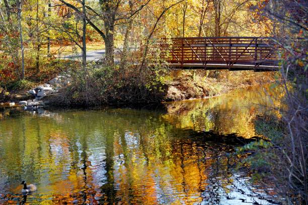 istock Small bridge over a creek with duck and colorful tree reflections on water 964354158
