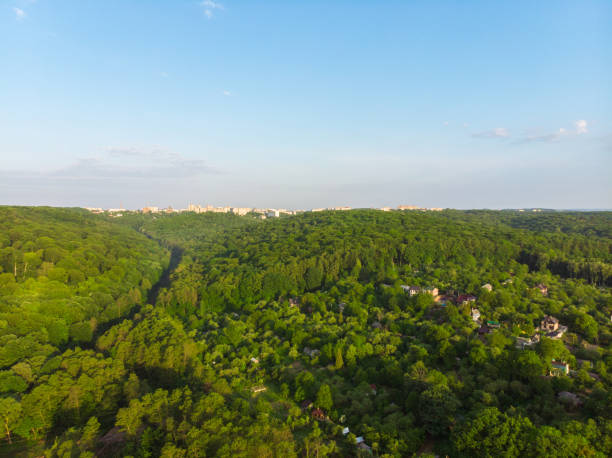 istock aerial view of forest with blue sky 964356202