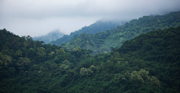 istock Scenic View Of Mountains Against Sky 964356946