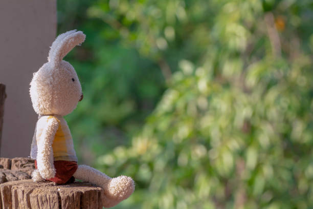 istock Rabbit Doll Sitting on a wooden floor 964357672