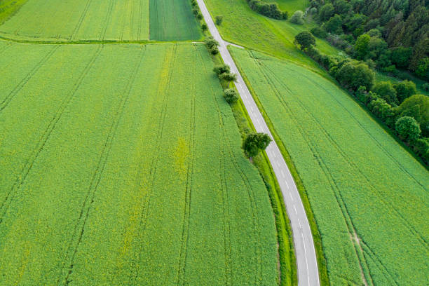 istock Road through agricultural area, aerial view 964369684