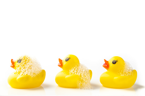 3 Yellow rubber ducks with soap suds on their heads, swimming in a line on white background