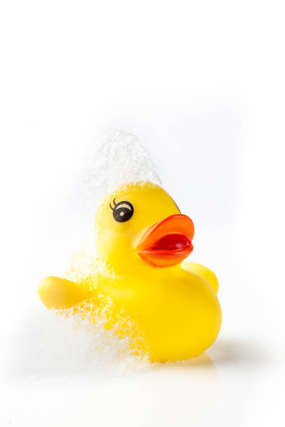 istock One Yellow rubber duck with soap suds on its head on white background 964383704