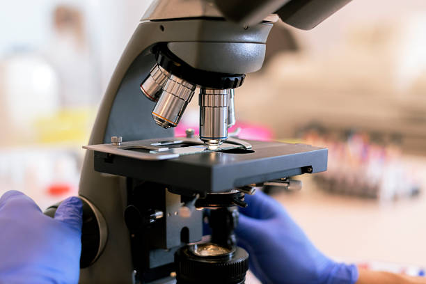 istock Scientist hands with microscope close-up shot in the laboratory 964387182