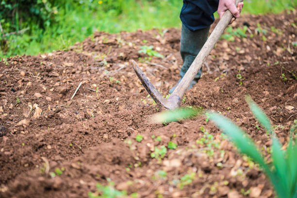 istock Spring gardening concept: garden bed digging 964391970