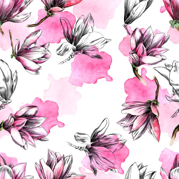 illustrazioni stock, clip art, cartoni animati e icone di tendenza di motivo floreale magnolia senza cuciture con acquerello ed elementi penna e inchiostro - magnolia blossom flower single flower