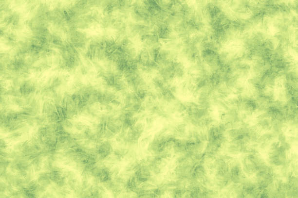 istock Green painted background. Green brush stroke texture on white background 964394436