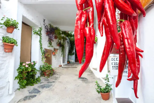 Photo of Hanging bunch of red chili peppers for sale at Pampaneira town. Alpujarras, Spain