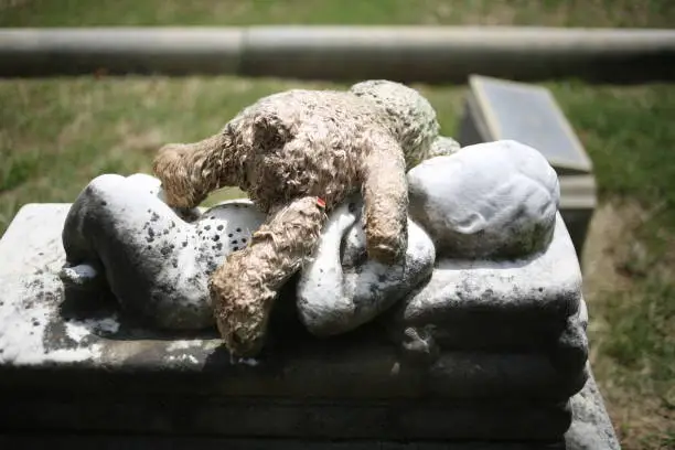 Photo of Stuffed Teddy Bear Lying on Top of a Child's Grave Baby Marble Statue Grave Memorial Marker