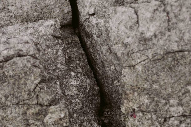 Gray stone texture and background. Close up view of natural rock wall texture. Abstract texture and background for design. Natural stone surface.
