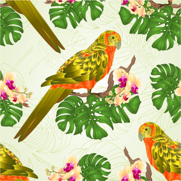 Seamless texture Sun Conure Parrot tropical exotic bird with beautiful yellow orchid and philodendron vector illustration editable Seamless texture Sun Conure Parrot tropical exotic bird with beautiful yellow orchid and philodendron vector illustration editable hand draw blue budgies cartoons stock illustrations
