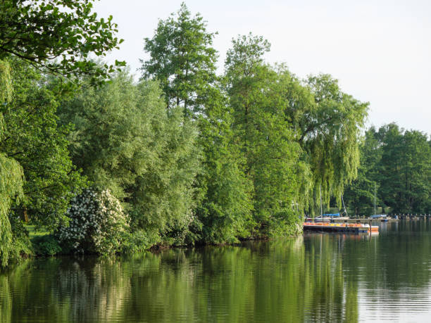 istock spring time at a lake in germany 964410712