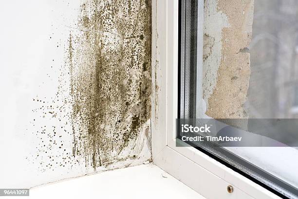 Dampness Stock Photo - Download Image Now - Fungal Mold, Stained, Window