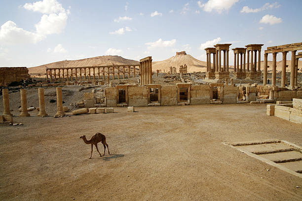 the Citadel of Fakht Edden Alma'ni Palmyra, Syria