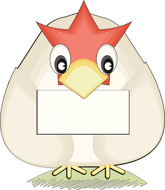 Cartoon hen with sign  birdbrain stock illustrations