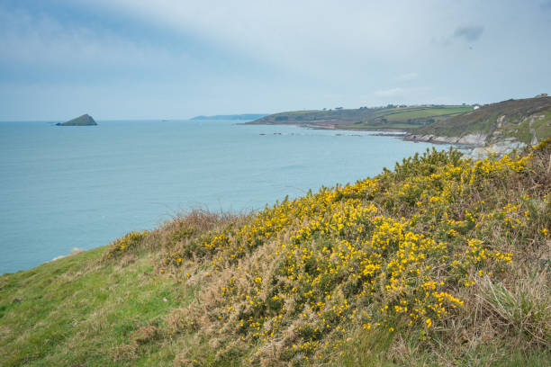 istock Hiking the South West Coastal Path in Devon, UK. 964420394