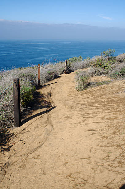 hiking trail вдоль скалы на torrey pines государственный заповедник - torrey pines state reserve стоковые фото и изображения