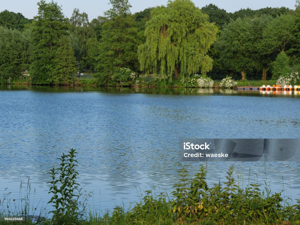 lentetijd aan een meer in Duitsland - Royalty-free Boom Stockfoto