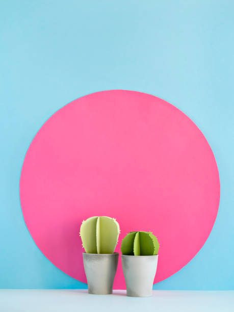 istock Colorful cactuses on blue and pink 964425966