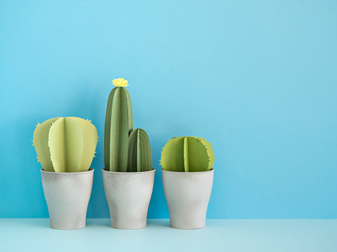 Pots with artificial green cactuses made of paper arranged in row on blue background.