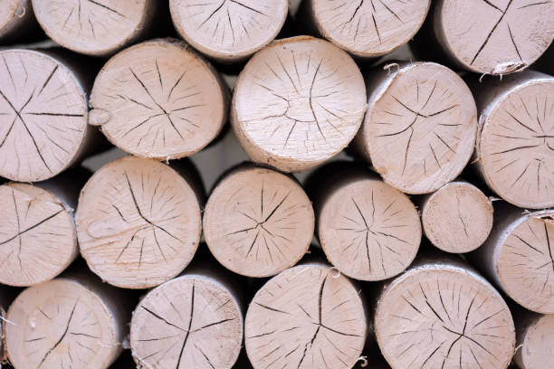 istock cracks of cherry wood built in the fireplace 964445452