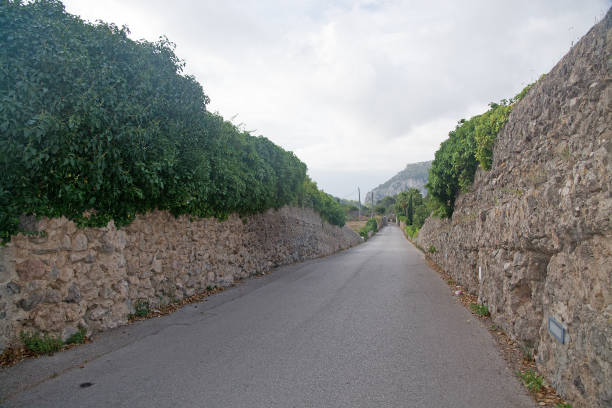 istock Early morning village view 964449542
