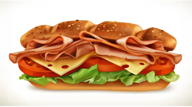 Vector illustration of Sandwich with meat and cheese