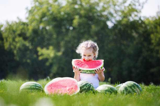 istock Little girl with watermelons on green grass. 964450242