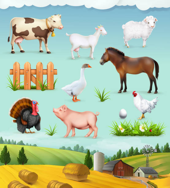 illustrazioni stock, clip art, cartoni animati e icone di tendenza di fattoria, animali e uccelli set di icone vettoriali - pollame domestico