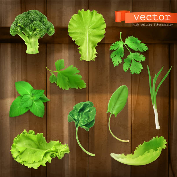 ilustrações de stock, clip art, desenhos animados e ícones de greens, vector icon set on wooden board - onion vegetable leaf spice